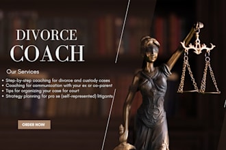 coach you through custody, divorce, and family court