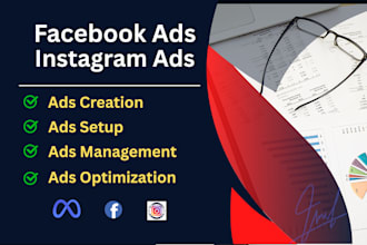be your meta ads expert, facebook ads and instagram ads