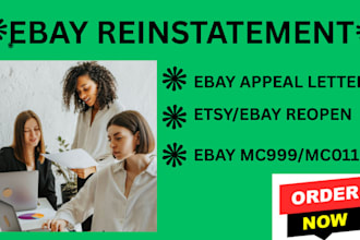 do etsy ebay and amazon account reinstatement, appeal letter expert