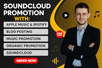 do organic sound cloud music promotions for tracks