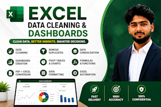 clean, format, deduplicate, and organize excel data professionally