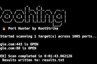perform penetration testing and vulneerability assesment