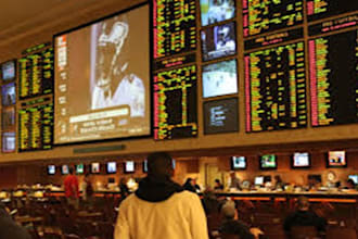 sportsbook,1x bet, betfair website,bet365,fanduel,fantasy sport app, crypto game