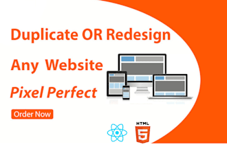 clone duplicate redesign revamp your dream website