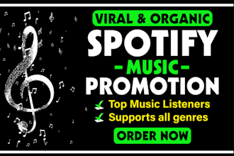 do effective spotify music promotion, spotify ads campaign for real growth