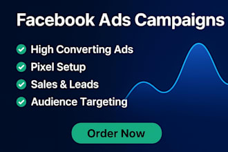 facebook and instagram ads campaigns