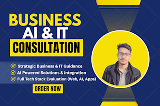 provide business, ai, and IT consultation