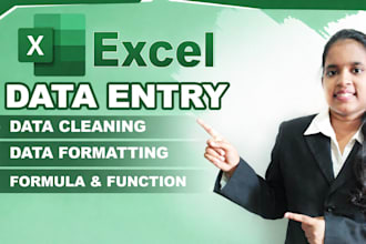 do excel data entry,formula function