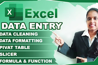 do data entry,data cleaning,data formatting,formula,function,pivot table,slicer