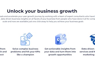 audit your meta and google ads , improve roas
