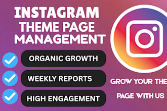 professionally manage and grow tiktok instagram theme page