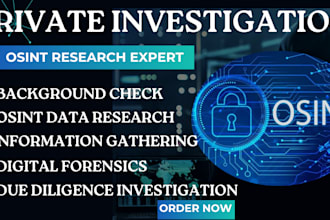 be your private investigator osint investigator background check due dilligence