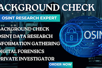 do background check osint investigation due dilligence online investigations