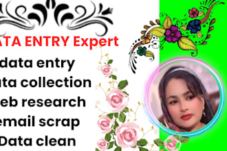 do any data entry,data collection,email scrap,data cleaning