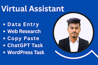 be your reliable virtual assistant for data entry, data mining, copy paste tasks