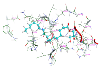 do molecular docking and virtual screening of the results