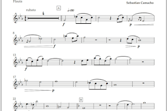 score for long or short format films