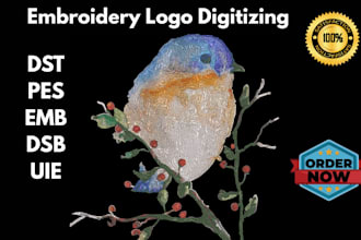 digitize image for embroidery to dst, pes, jef, exp formats