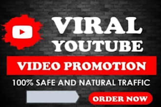 do massive organic youtube video channel promotion to gain 1 million USA views