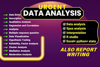 do statical spss analysis, report in spss , python, excel, r studio