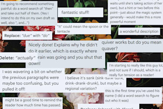 beta read your romance or romantasy manuscript