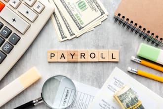 do payroll processing, payroll slip