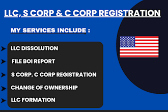 form llc, 501c3 registration, bylaws, boi report, ownership change in US states