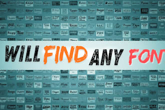 identify or find any font within 24 hours