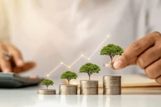 finance decisions auditing budgeting risk mgt accounts