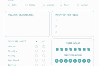 design a custom digital planner or todo list