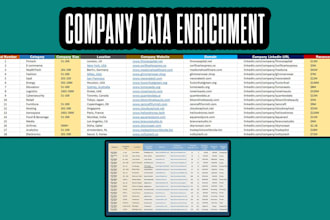 provide data cleaning ,data formatting and enrichment services
