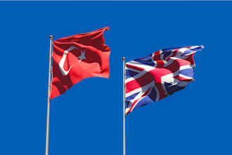 l translate english to turkish and english to english manually and professional