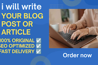 write SEO optimized blog post or article for your website