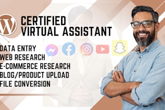 executive virtual assistant project assistant personal assistant admin support