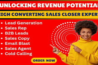be your high ticket sales closer b2b sales lead pipeline sales representative