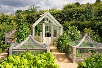design greenhouse design, garden design landscape, farmland yard with 3d model