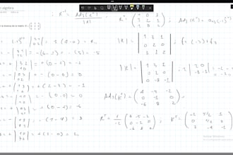 math tutor for elementary, high school, and university calculus