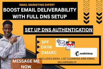 setup spf dmarc dkim, clean email list and improve deliverability on mailchimp