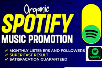 set up an effective campaign to promote your spotify music organically