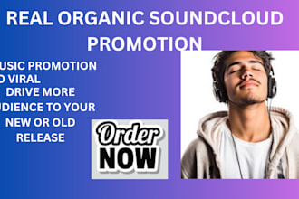 promote your soundcloud music with targeted meta  ads