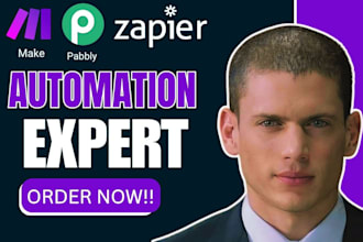 make com automation make com scenario api zapier expert vapi ai pabbly made com