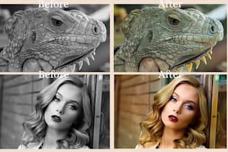 bring your black and white photos to life in full color