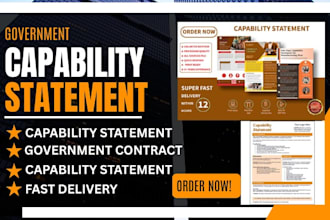 design a professional government capability statement, capability statement
