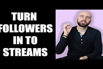do vigorous music promotion to increase followers and streams