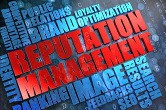 setup pro reverse SEO, reputation management, brand reputation, white hat online