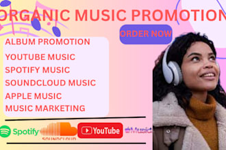 do music promotion album promotion on spotify music amazon music