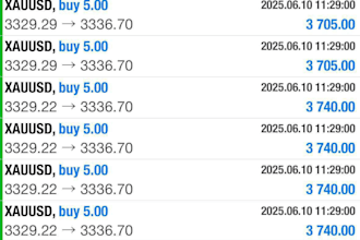 offer profitable forex trading bot, forex robot, forex ea, trading bot, ea bot