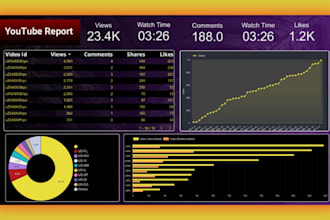 create professional google data studio and looker studio dashboards