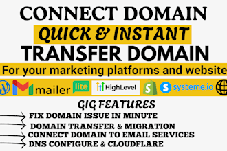 connect domain, transfer, redirect domain or fix subdomain to any website