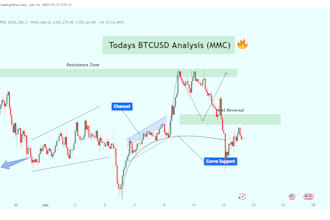 do pro forex, crypto chart analysis using mirror market concepts